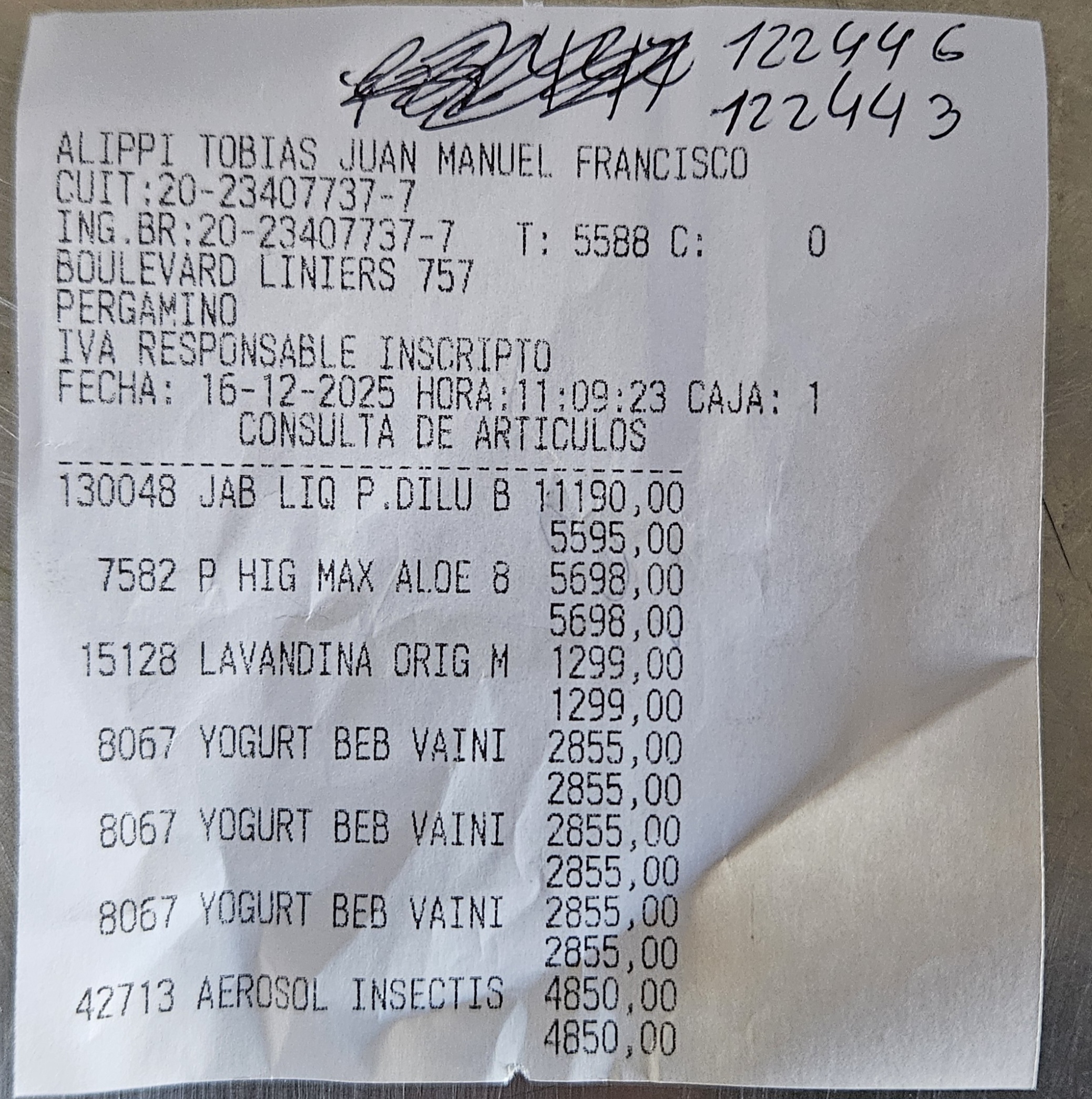 Ticket 20251217120617